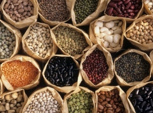alimento-agropecuariogro